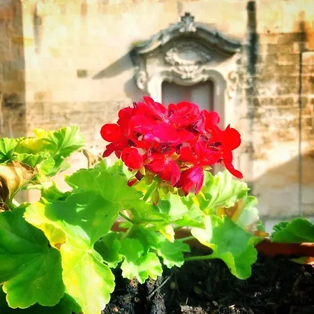 Palazzo Salia Bed and Breakfast 4*