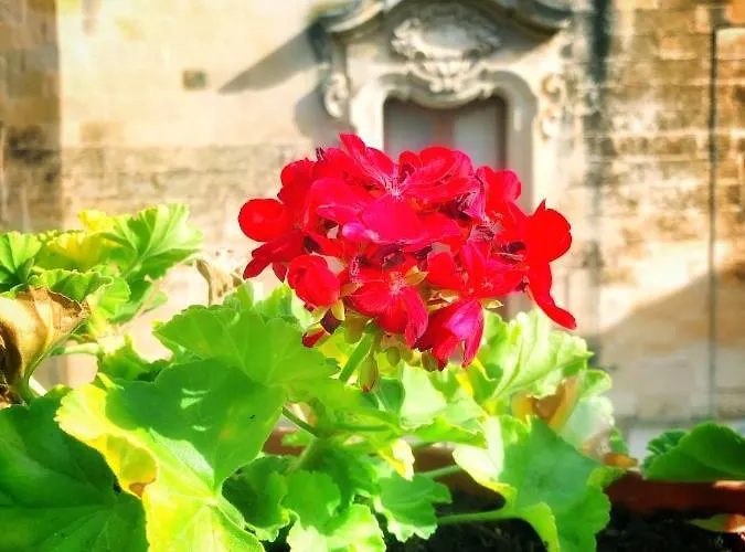 Palazzo Salia Bed & Breakfast 4*